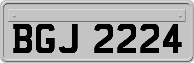 BGJ2224