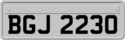 BGJ2230