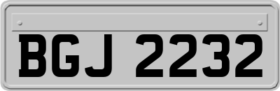BGJ2232