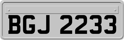 BGJ2233