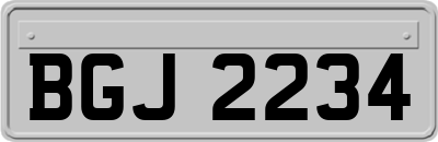 BGJ2234