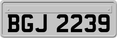 BGJ2239