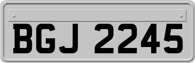 BGJ2245