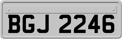 BGJ2246
