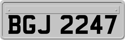BGJ2247