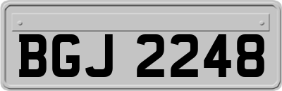 BGJ2248