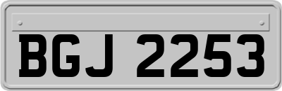 BGJ2253