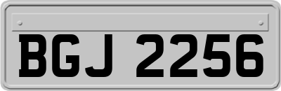BGJ2256