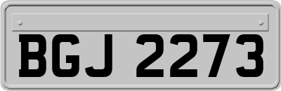 BGJ2273