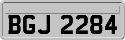 BGJ2284