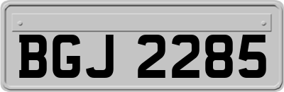 BGJ2285