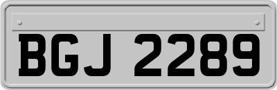 BGJ2289