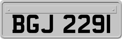 BGJ2291