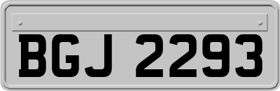 BGJ2293
