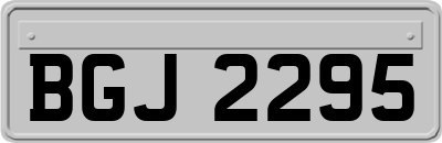 BGJ2295