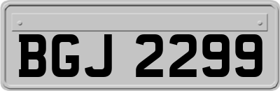 BGJ2299