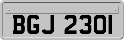 BGJ2301