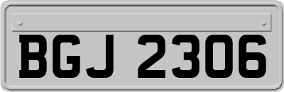BGJ2306