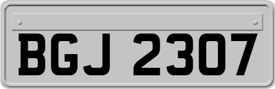 BGJ2307