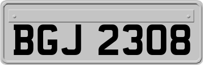 BGJ2308