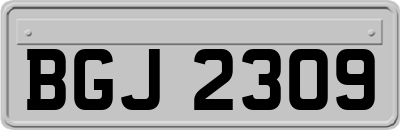 BGJ2309
