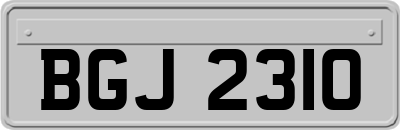BGJ2310