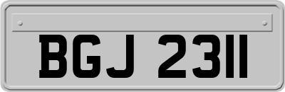 BGJ2311