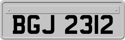 BGJ2312