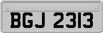 BGJ2313