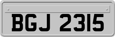 BGJ2315