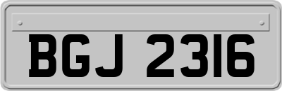 BGJ2316