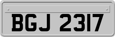 BGJ2317