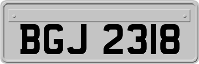 BGJ2318