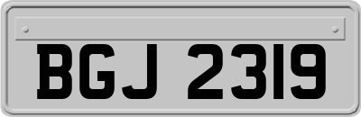 BGJ2319