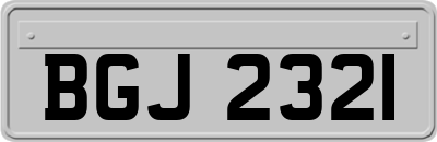 BGJ2321