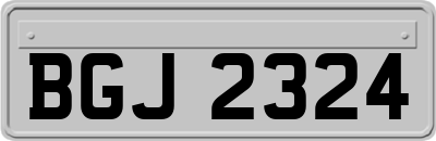 BGJ2324