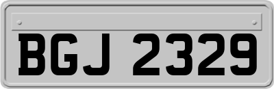 BGJ2329