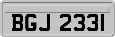 BGJ2331