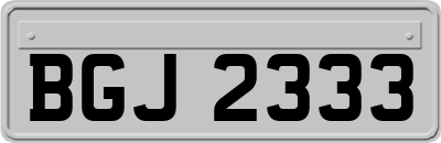 BGJ2333