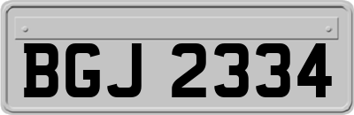 BGJ2334