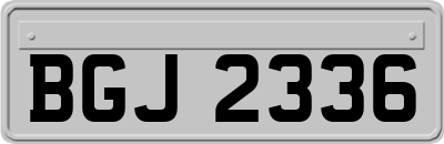 BGJ2336