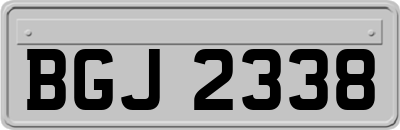 BGJ2338