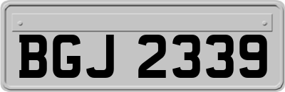BGJ2339