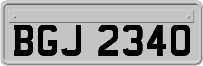 BGJ2340