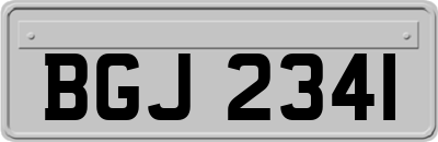 BGJ2341