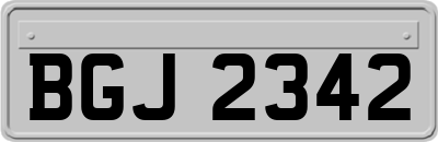BGJ2342