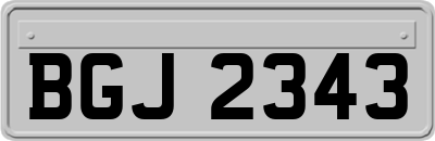 BGJ2343