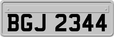 BGJ2344