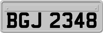 BGJ2348
