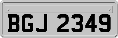 BGJ2349